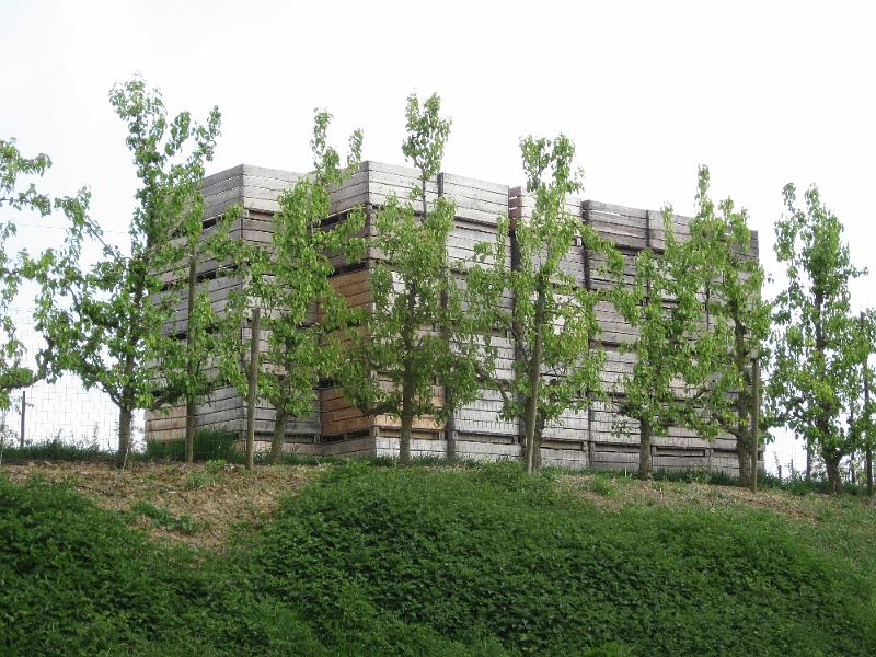 4de Nonkelfransrit (56).JPG